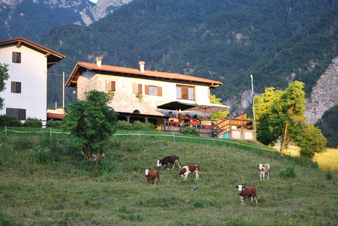 Rifugio Malga Grasia Caprizi Екстериор снимка