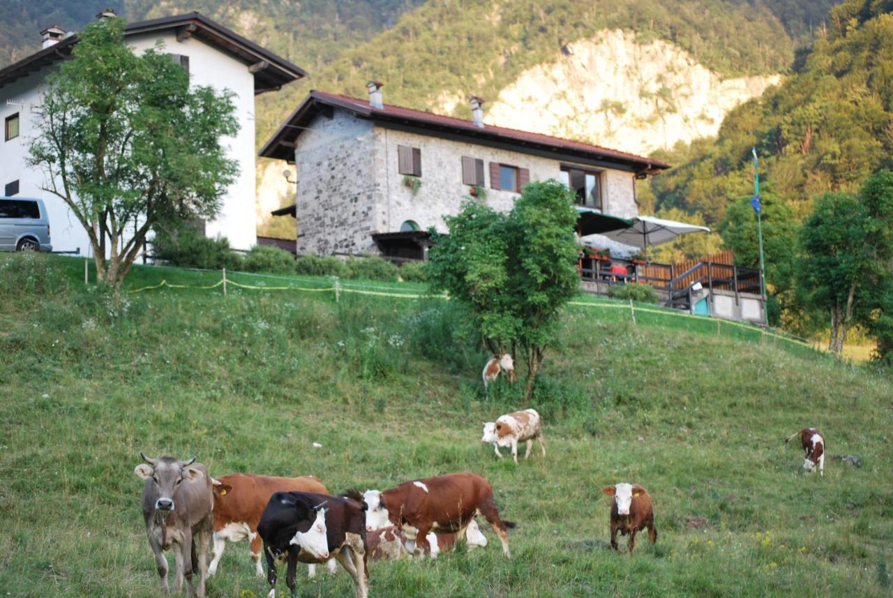 Rifugio Malga Grasia Caprizi Екстериор снимка